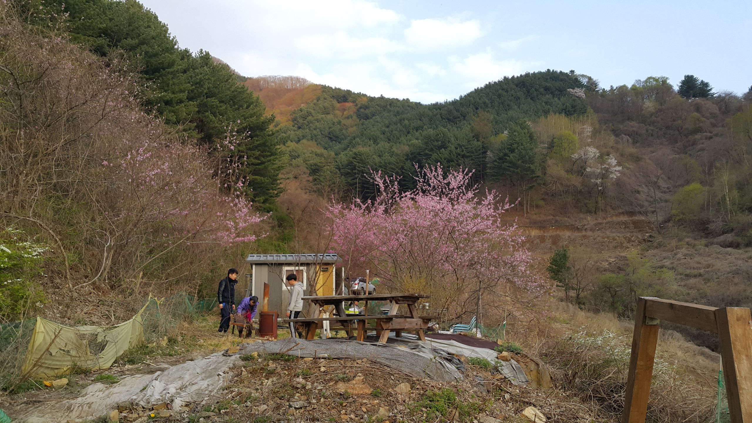 런치카페 전경 